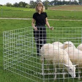 Roestvrijstalen gelast paneel